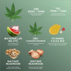 CBD Multivitamin Gummies (size: 100mg)