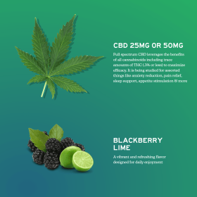 Full-Spectrum CBD Gummies (size: 750mg / 30 count)