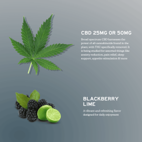 Broad Spectrum CBD Gummies (size: 750mg / 30 count)