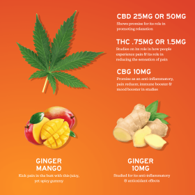 CBD Gummies for Soothing Relief (size: 100mg / 2 count)
