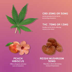 CBD Gummies For Stress (size: 100mg / 2 count)
